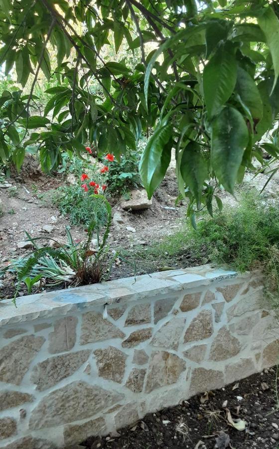 Akrotiri Василики Экстерьер фото